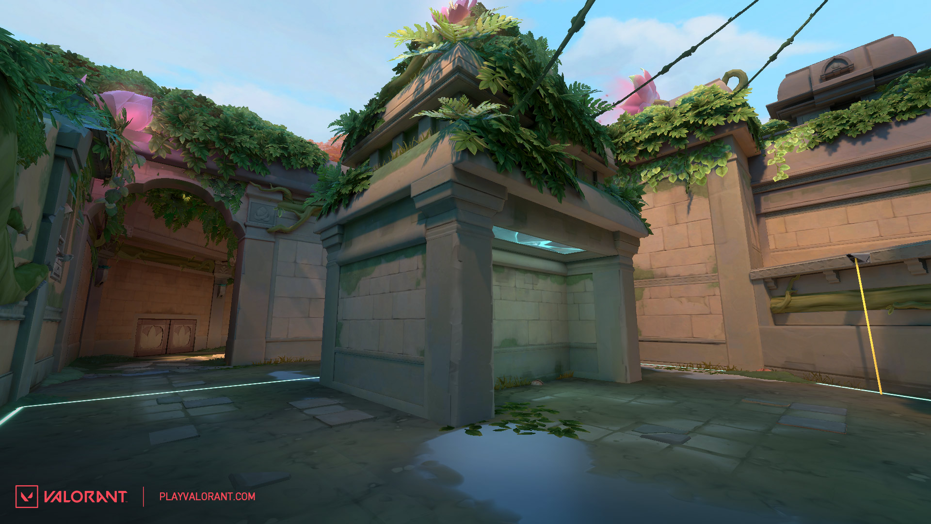 Copy_of_Lotus-A-Hut-After.jpg