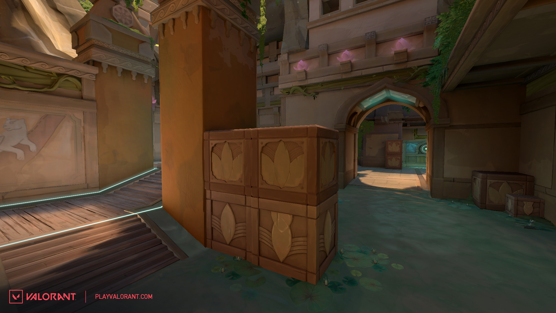Copy_of_Lotus-C-Bend-After.jpg