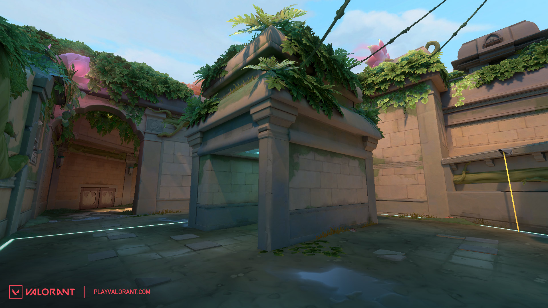 Copy_of_Lotus-A-Hut-Before.jpg